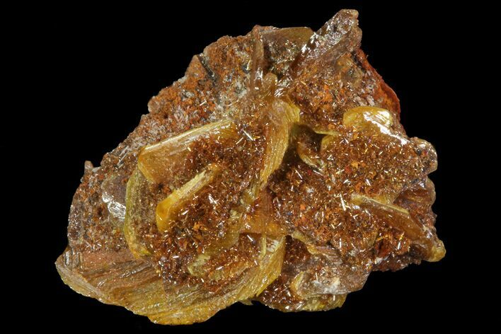 Wulfenite Crystals Cluster - Mexico #67708